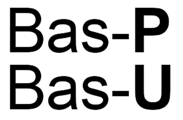 Bas-P & Bas-U – Byggarbetsmiljösamordnare
